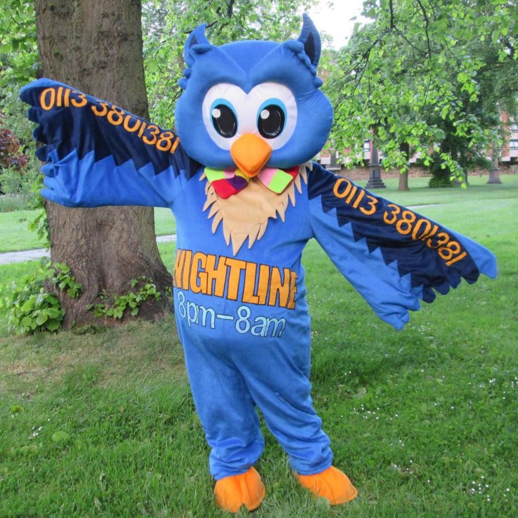 A picture of Nigel the Owl, our beloved mascot.